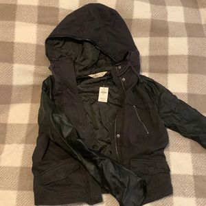Hollister Jacket! Brand New with Tag!